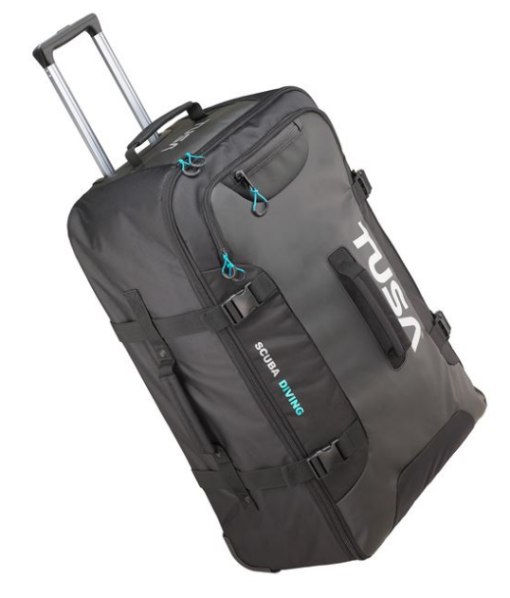 Roller Bag Large (New 2024)