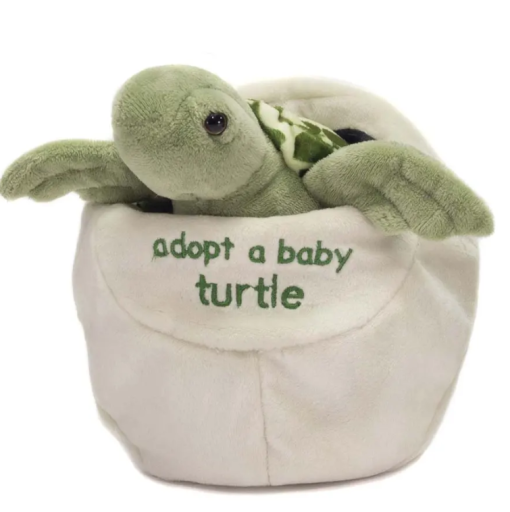 Adopt a Baby Turtle 8"